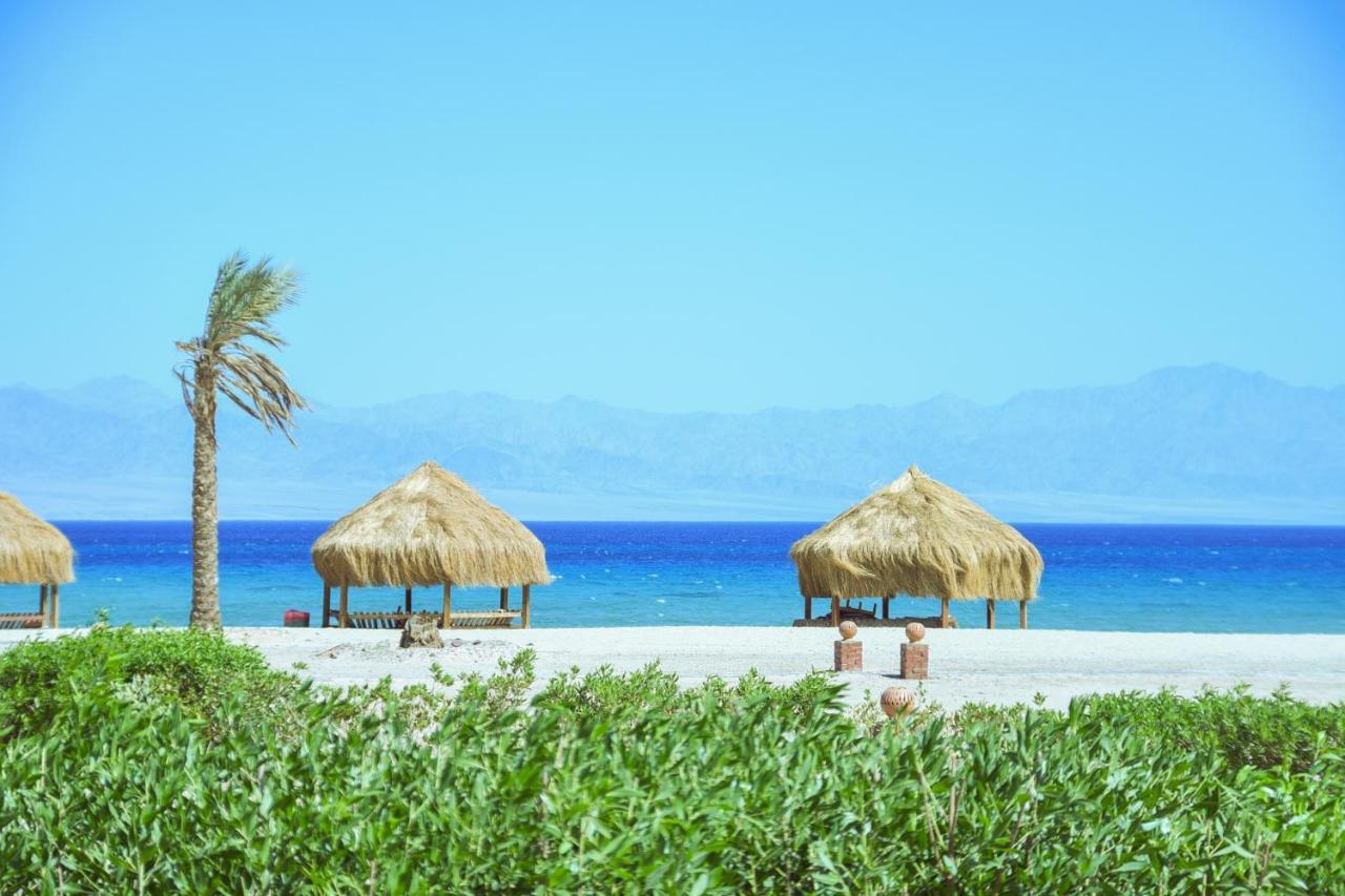 Safari Beach Nuweiba‘ el Muzeinah Exterior foto