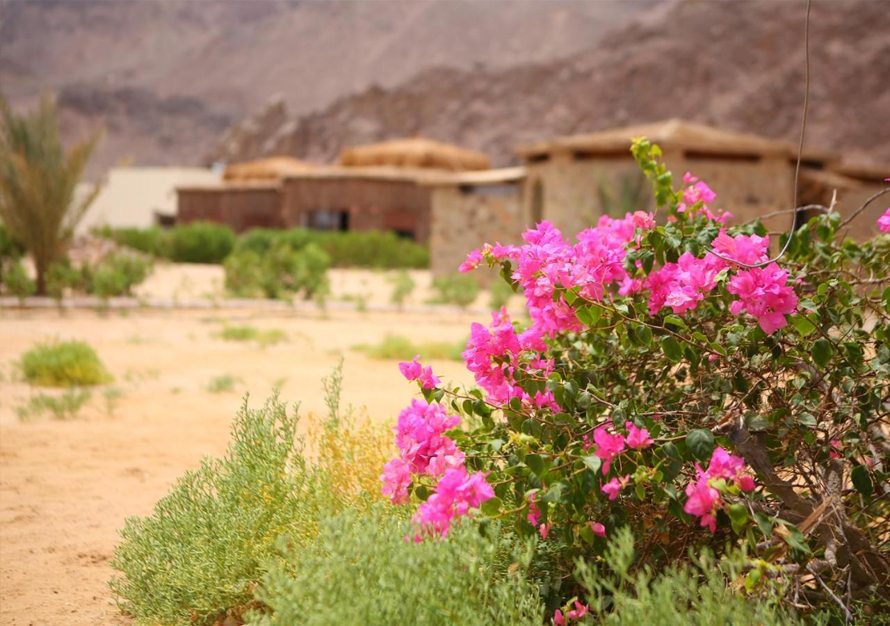 Safari Beach Nuweiba‘ el Muzeinah Exterior foto